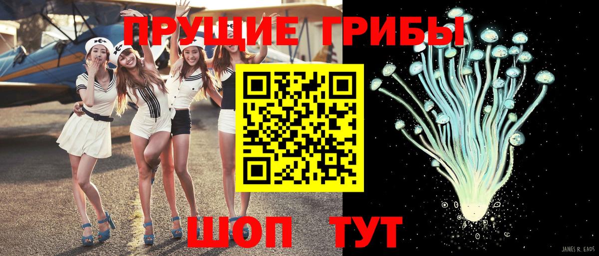 Коломна  Галлюциногенные грибы Psilocybe  Вход с VPN 